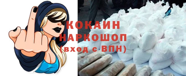 шишки Алексин