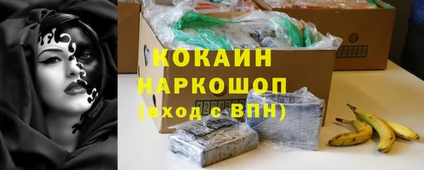 шишки Алексин