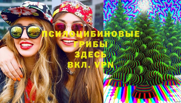 ALPHA PVP Алзамай