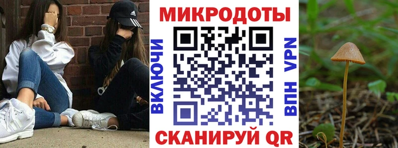 закладки  Серов  мега зеркало  Псилоцибиновые грибы мухоморы 