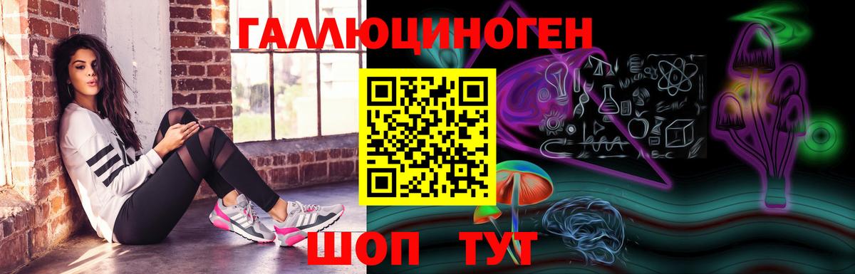 Серов  Псилоцибиновые грибы Psilocybine cubensis  что такое наркотик  Вход с VPN 